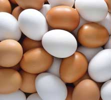 Моющие средства для обработки яиц
